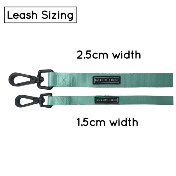 Big and  Little Dogs Lijn Classic Teal (ALLEEN 1,5 CM) - Premium hondenriem / hondenlijn from Big and Little Dogs - Just €19.99! Shop now at Frenkiezdogshop