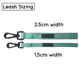 Big and  Little Dogs Lijn Classic Teal (ALLEEN 1,5 CM) - Premium hondenriem / hondenlijn from Big and Little Dogs - Just €19.99! Shop now at Frenkiezdogshop