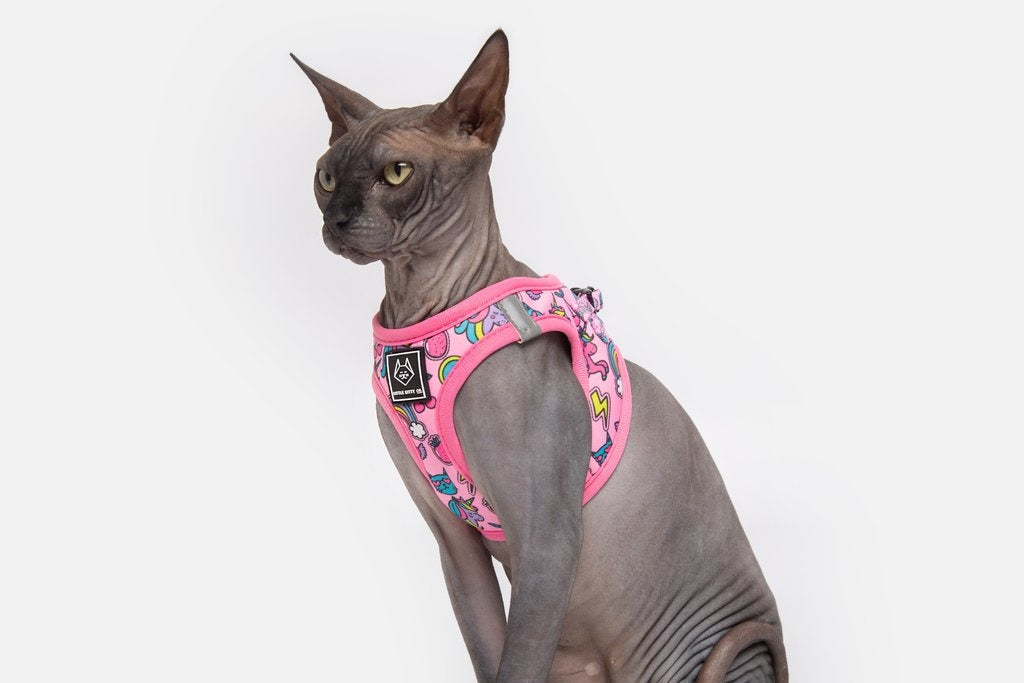 Little Kitty Cat Harness Meow-Gical ( M ) - Premium Kattentuig > kattenharnas from Little Kitty - Just €19.99! Shop now at Frenkiezdogshop