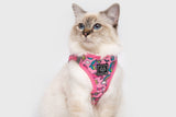 Little Kitty Cat Harness Meow-Gical ( M ) - Premium Kattentuig > kattenharnas from Little Kitty - Just €19.99! Shop now at Frenkiezdogshop