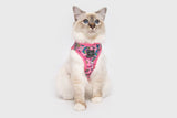 Little Kitty Cat Harness Meow-Gical ( M ) - Premium Kattentuig > kattenharnas from Little Kitty - Just €19.99! Shop now at Frenkiezdogshop