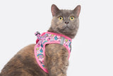 Little Kitty Cat Harness Meow-Gical ( M ) - Premium Kattentuig > kattenharnas from Little Kitty - Just €19.99! Shop now at Frenkiezdogshop