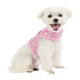 Pinkaholic Chic Pinka Harness Pink - Premium hondentuig > honden harnas from Pinkaholic - Just €27.99! Shop now at Frenkiezdogshop