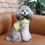 Pinkaholic Chic Pinka Harness Lime hondentuig > honden harnas > model B Small