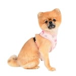 Pinkaholic Lapine Harness Indian Pink ( M & L ) - Premium hondentuig > honden harnas from Pinkaholic - Just €21.99! Shop now at Frenkiezdogshop