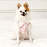 Pinkaholic Lapine Harness Ivory (L ) hondentuig > honden harnas > model A Small