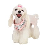 Pinkaholic Zinnia Harness Ivory ( Medium & Large ) - Premium hondentuig > honden harnas from Pinkaholic - Just €24.99! Shop now at Frenkiezdogshop