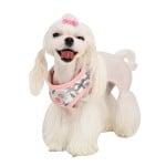 Pinkaholic Zinnia Harness Ivory ( Medium & Large ) hondentuig > honden harnas > model A Medium