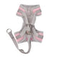 Pinkaholic Lalo Harness C Indian Pink - Premium hondentuig > honden harnas from Pinkaholic - Just €24.99! Shop now at Frenkiezdogshop