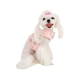 Pinkaholic Lapine Pinka Harness Indian Pink ( M & L ) - Premium hondentuig > honden harnas from Pinkaholic - Just €22.99! Shop now at Frenkiezdogshop