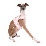 Pinkaholic Lapine Pinka Harness Ivory hondentuig > honden harnas > model B Small