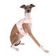 Pinkaholic Lapine Pinka Harness Ivory - Premium hondentuig > honden harnas from Pinkaholic - Just €22.99! Shop now at Frenkiezdogshop