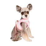 Pinkaholic Cara Vest Harness Indian Pink hondentuig > honden harnas > overige modellen Small