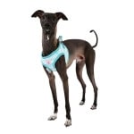 Pinkaholic Cara Vest Harness Aqua hondentuig > honden harnas > overige modellen Small