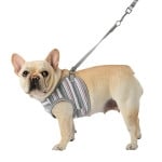 Pinkaholic Cara Vest Harness ML Grey hondentuig > honden harnas > overige modellen Small