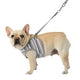 Pinkaholic Cara Vest Harness ML Grey - Premium hondentuig > honden harnas from Pinkaholic - Just €22.99! Shop now at Frenkiezdogshop