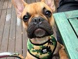 Dukier Reversible Harness Camo - Premium hondentuig > honden harnas from Dukier - Just €23.99! Shop now at Frenkiezdogshop