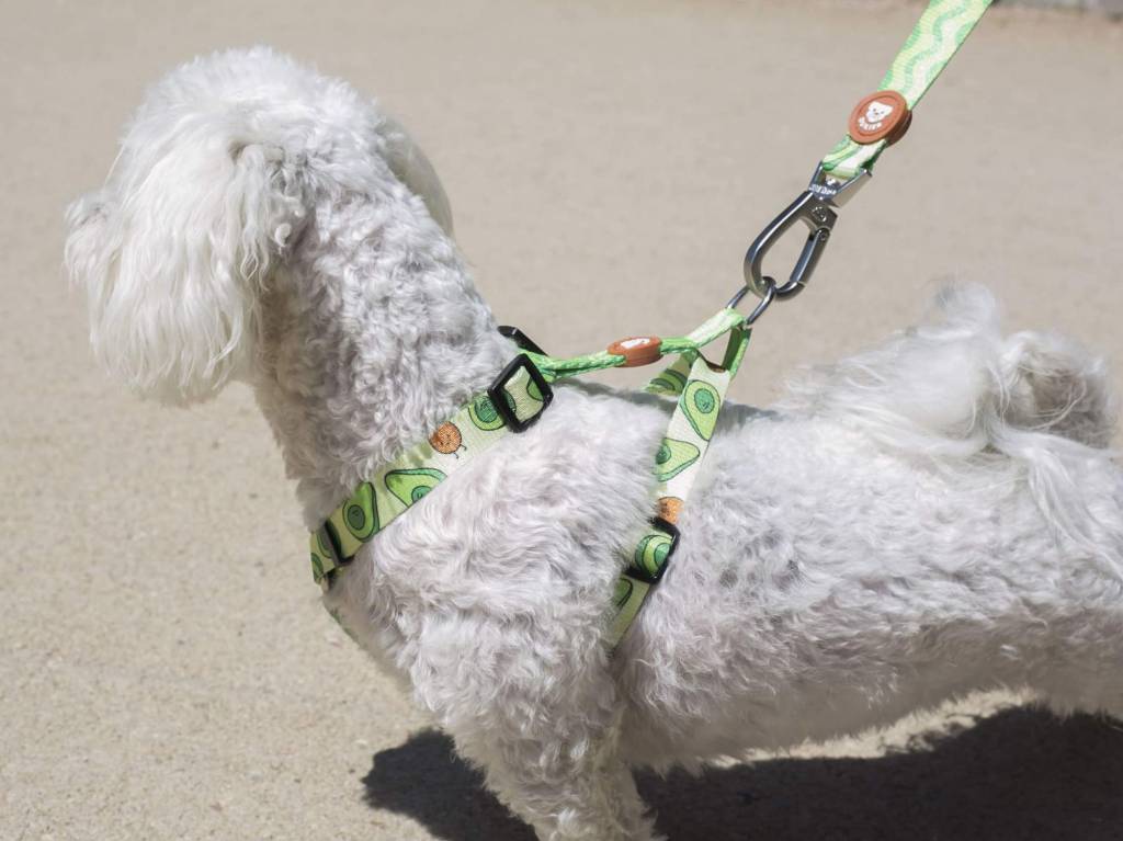 Dukier Classic Harness Avocado - Premium hondentuig > honden harnas from Dukier - Just €20.99! Shop now at Frenkiezdogshop