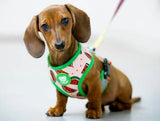 Dukier Reversible Harness watermelon - Premium hondentuig > honden harnas from Dukier - Just €22.99! Shop now at Frenkiezdogshop