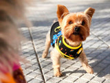 Dukier Reversible Harness Space - Premium hondentuig > honden harnas from Dukier - Just €22.99! Shop now at Frenkiezdogshop