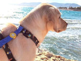 Dukier Classic Harness Space - Premium hondentuig > honden harnas from Dukier - Just €18.99! Shop now at Frenkiezdogshop