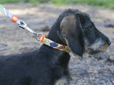 Dukier halsband collar Icecream - Premium halsband > hondenhalsband from Dukier - Just €17.99! Shop now at Frenkiezdogshop