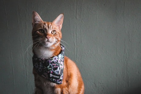 Frenkiez Cooling Bandana Maki Flower Hondenkleding > bandana Small