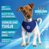 Aqua Cool Keeper RoundLoop Tuigje - Premium cooling > koelvest from Doxtasy/Animal Gear - Just €17.99! Shop now at Frenkiezdogshop