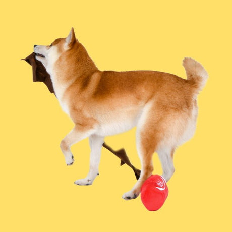 Olchi Fivedogs Drink Plush & Squeaky Dog Toy Hondenspeeltje > Hondenspeelgoed one - size