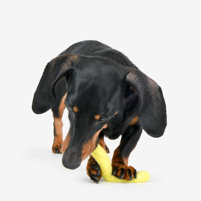 Olchi Fivedogs Fried Patato Plush & Squeaky Dog Toy - Premium Hondenspeeltje > Hondenspeelgoed from Olchi - Just €17.99! Shop now at Frenkiezdogshop