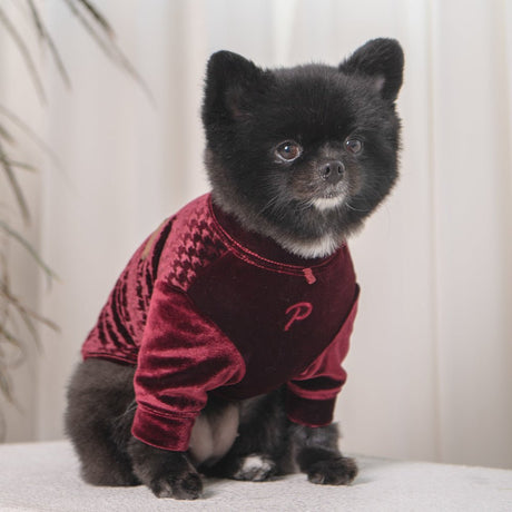 Puppia T-shirt Kendall Wine hondenkleding > hondenshirt Small