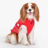 Puppia Winter Sweater Dyani Red - Premium Hondenkleding > Hondentrui from Puppia - Just €36.99! Shop now at Frenkiezdogshop