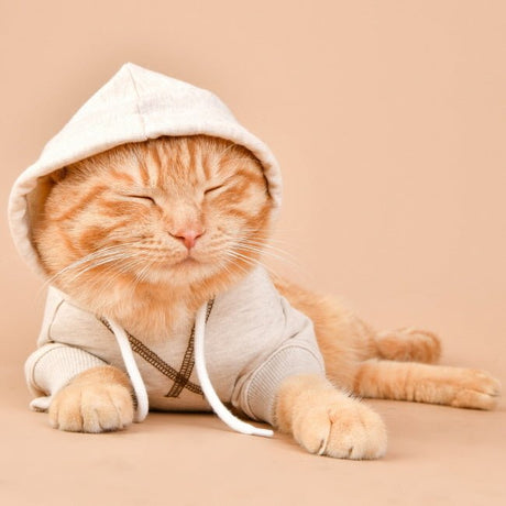 Olchi Simple Hood hondentrui Hoodie Beige Hondenkleding > Hondentrui Small