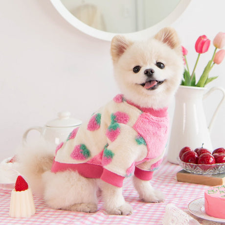 Pinkaholic Delizz winter sweater shirt Ivory Hondenkleding > Hondentrui Small