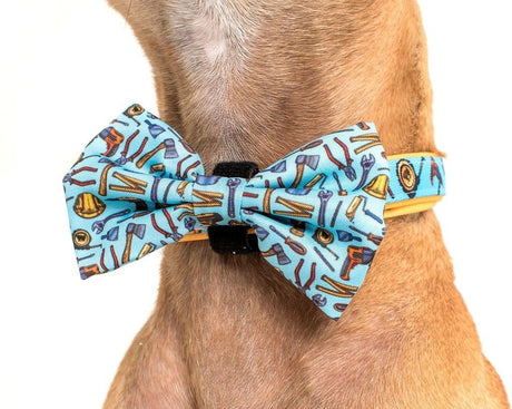 Big and Little Dogs Halsband Under Construction ( MEDIUM ) halsband > hondenhalsband Small