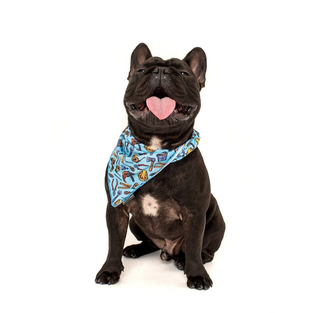 Big and Little Dogs Bandana Under Construction (ALLEEN S/M) - Premium Hondenkleding > bandana from Big and Little Dogs - Just €9.99! Shop now at Frenkiezdogshop