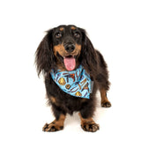 Big and Little Dogs Bandana Under Construction (ALLEEN S/M) - Premium Hondenkleding > bandana from Big and Little Dogs - Just €9.99! Shop now at Frenkiezdogshop