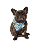 Big and Little Dogs Bandana Under Construction (ALLEEN S/M) - Premium Hondenkleding > bandana from Big and Little Dogs - Just €9.99! Shop now at Frenkiezdogshop