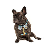 Big and Little Dogs Strap Harness Under Construction (ALLEEN LARGE) - Premium hondentuig > honden harnas from Big and Little Dogs - Just €19.99! Shop now at Frenkiezdogshop