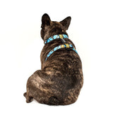 Big and Little Dogs Strap Harness Under Construction (ALLEEN LARGE) - Premium hondentuig > honden harnas from Big and Little Dogs - Just €19.99! Shop now at Frenkiezdogshop