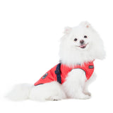 Puppia Mountaineer Jacket Harness Red - Premium Hondenkleding > hondenjas from Puppia - Just €66.99! Shop now at Frenkiezdogshop