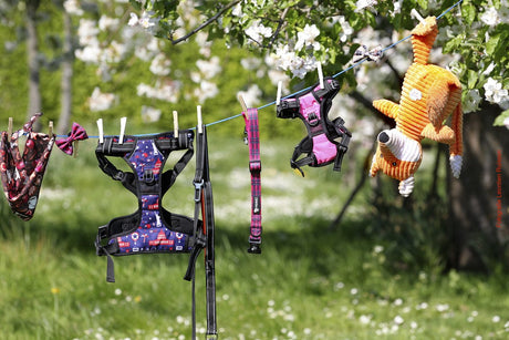 Frenkiez reflective no pull dog harness pink Small hondentuig > honden harnas > Y tuigen X - Small