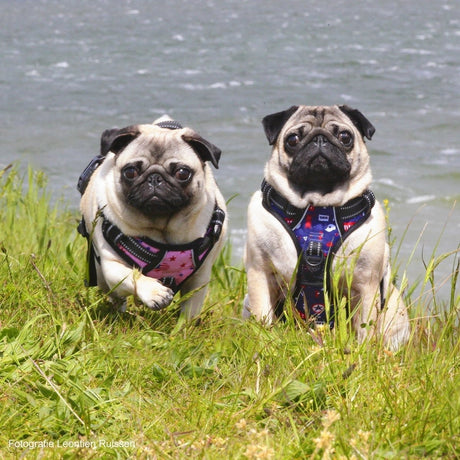 Frenkiez reflective no pull lockable dog harness printing pink XL hondentuig > honden harnas > Y tuigen X - Small