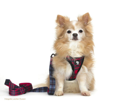 Frenkiez Step In Harness BarkBerry Red hondentuig > honden harnas > model B X - Small