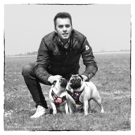 Frenkiez reflective no pull lockable dog harness printing pink XL hondentuig > honden harnas > Y tuigen X - Small