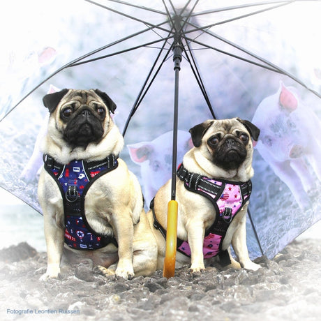 Frenkiez reflective no pull lockable dog harness printing pink XL hondentuig > honden harnas > Y tuigen X - Small