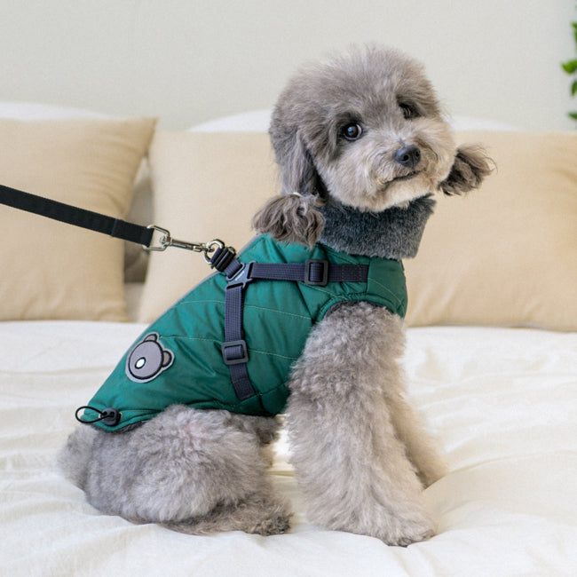 Puppia Isolde Jacket Harness Green - Premium Hondenkleding > hondenjas from Puppia - Just €89.99! Shop now at Frenkiezdogshop