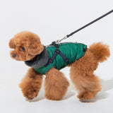 Puppia Isolde Jacket Harness Green - Premium Hondenkleding > hondenjas from Puppia - Just €89.99! Shop now at Frenkiezdogshop