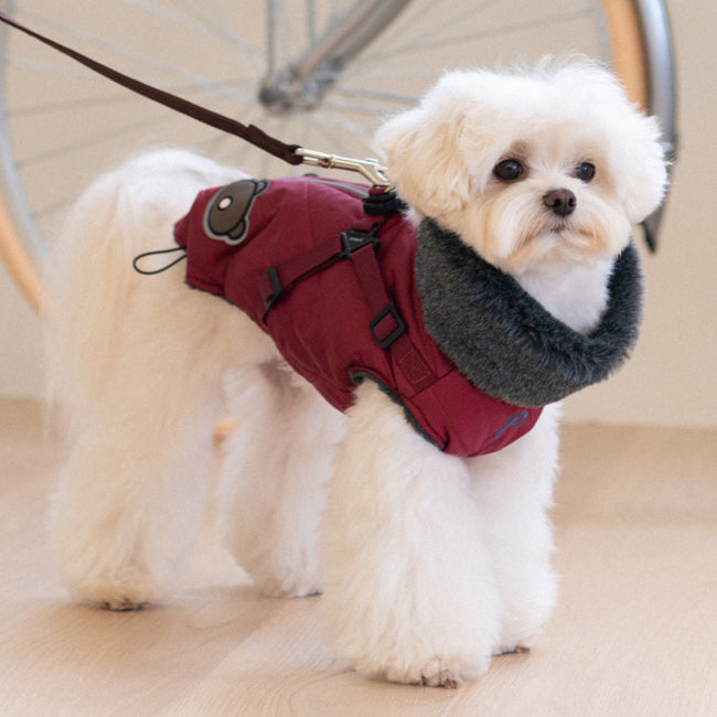 Puppia Isolde Jacket Harness Wine - Premium Hondenkleding > hondenjas from Puppia - Just €89.99! Shop now at Frenkiezdogshop