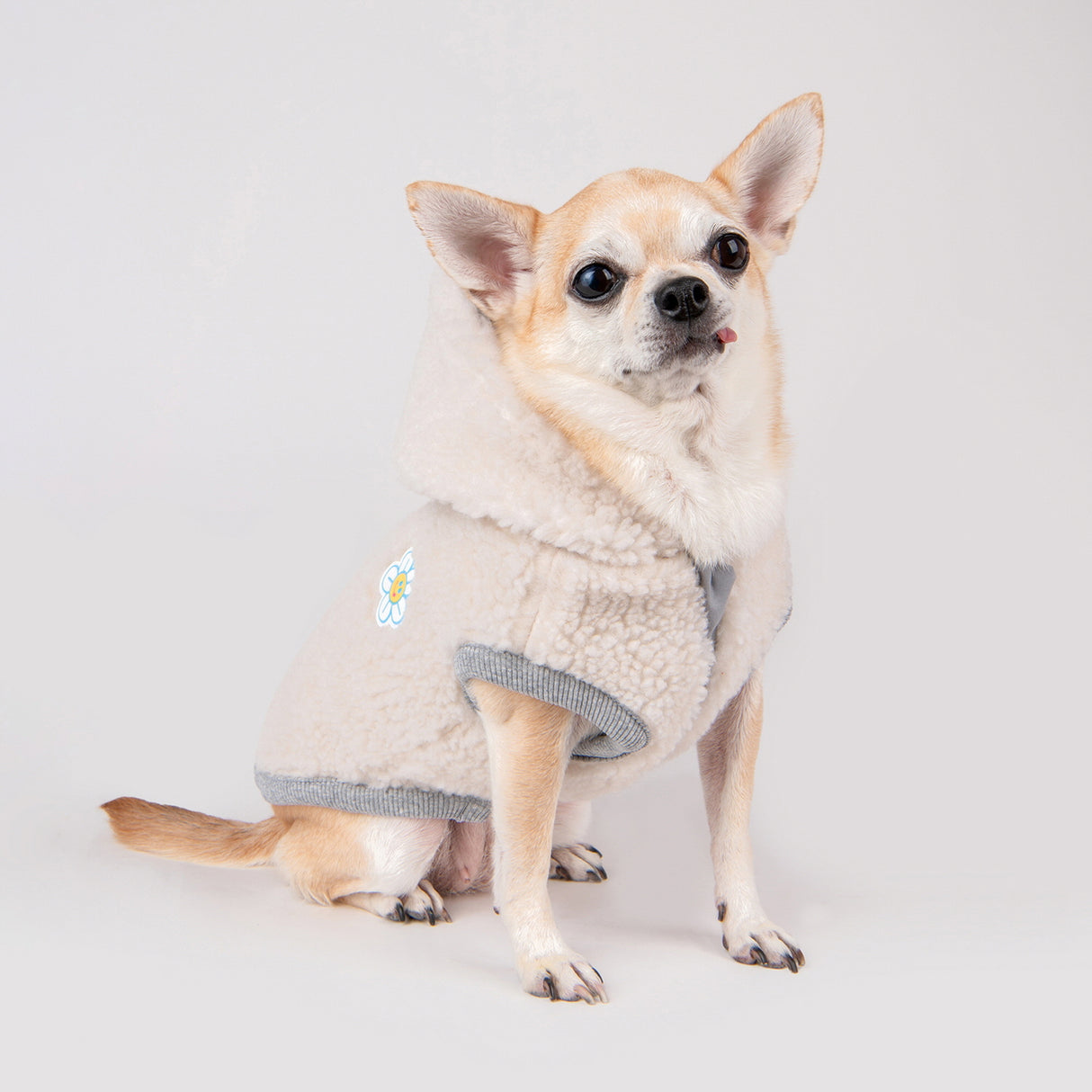 Olchi Warm Vest hondentrui Hoodie Grey - Premium Hondenkleding > Hondentrui from Olchi - Just €43.99! Shop now at Frenkiezdogshop